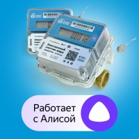 Электронные счетчики воды «Акваметрик» теперь работают с Алисой